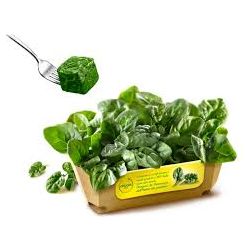 Spinach Leaves (Not Stems )1 Quality 1 Kg (Frozen)