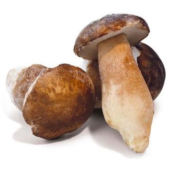 Frozen Porcini Whole 1Kg Size 4/8 -  - STANDARD SELECTION