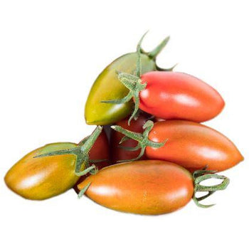 Torpedino Tomatoes Min.9Kg (Fresh From Italy)