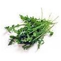 Rocket salad (Rucola)(Min. 1 kg)