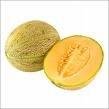 Yellow Melon Min.15 Kg