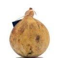 Caciocavallo Di Grotta +- 2.2 Kg