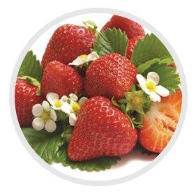 Strawberry Sorbet 2.5Lt (Frozen)