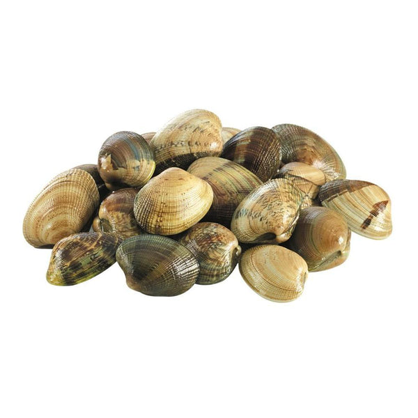 Pasteurized Galicianclams 300g From Spain (Frozen)
