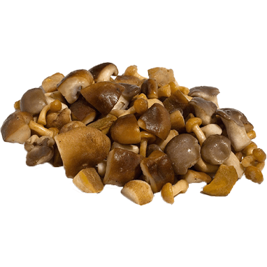 Frozen Cube Mixed Mushrooms with Porcini 1kg