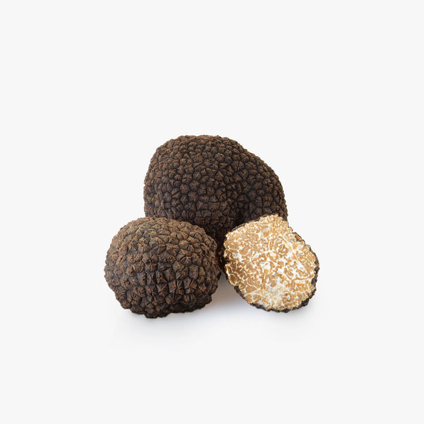 Frozen black summer truffle whole extra 100g