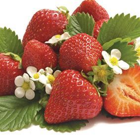 Strawberry Sorbet 2.5lt (Frozen)